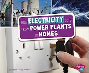 How Electricity Gets from Power Plants to Homes