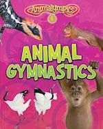 Animal Gymnastics