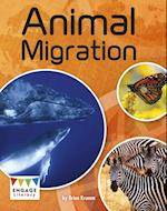 Animal Migration