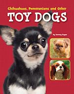 Chihuahuas, Pomeranians and Other Toy Dogs