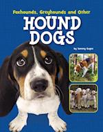 Foxhounds, Greyhounds and Other Hound Dogs