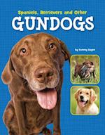 Spaniels, Retrievers and Other Gundogs