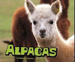 Alpacas