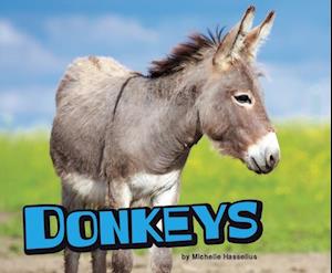 Donkeys