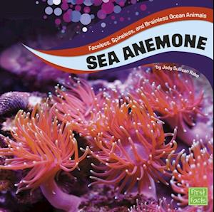 Sea Anemones