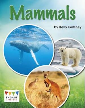 Mammals