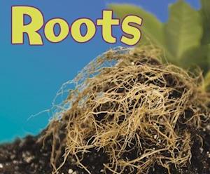 Roots