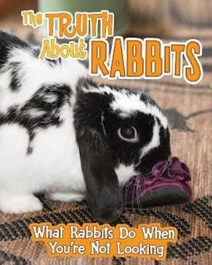 The Truth about Rabbits