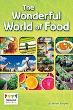 The Wonderful World of Food