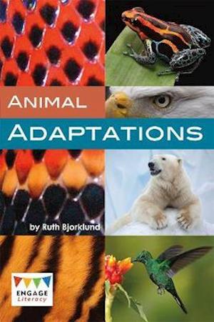 Animal Adaptations