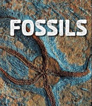 Fossils