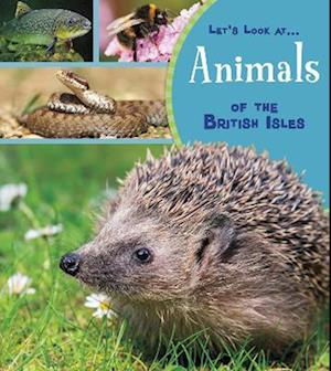 Animals of the British Isles