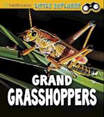Grand Grasshoppers