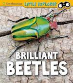Brilliant Beetles