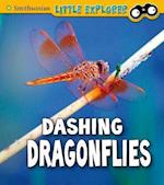 Dashing Dragonflies
