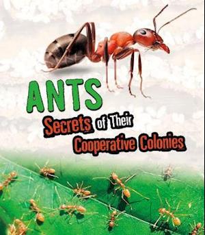 Ants