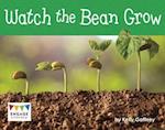 Watch the Bean Grow