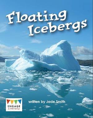 Floating Icebergs