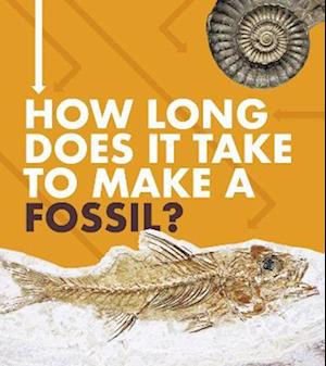 How Long Does It Take to Make a Fossil?