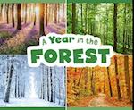 A Year in the Forest