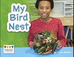 My Bird Nest
