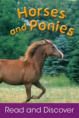 Horses and Ponies