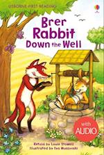 Brer Rabbit Down the Well