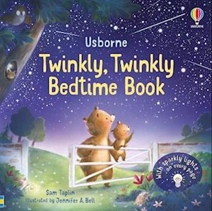 Twinkly Twinkly Bedtime Book