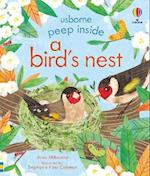 Peep Inside a Bird's Nest