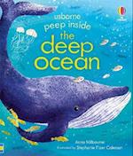 Peep Inside the Deep Ocean