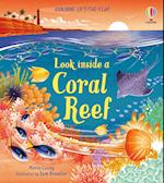 Look inside a Coral Reef