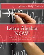 Learn Algebra Now!