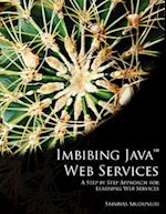 Imbibing Java Web Services