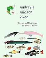 Audrey's Amazon River