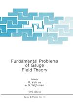 Fundamental Problems of Gauge Field Theory