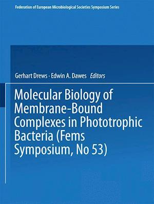 Molecular Biology of Membrane-Bound Complexes in Phototrophic Bacteria