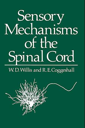 Sensory Mechanisms of the Spinal Cord