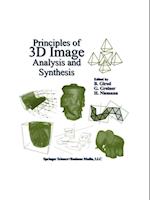 Principles of 3D Image Analysis and Synthesis