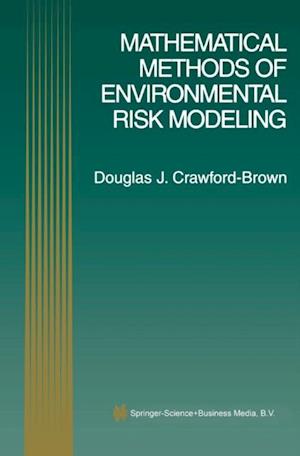 Mathematical Methods of Environmental Risk Modeling