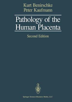 Pathology of the Human Placenta