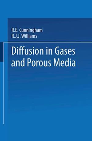 Diffusion in Gases and Porous Media