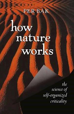 How Nature Works : the science of self-organized criticality