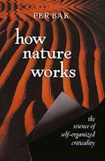 How Nature Works : the science of self-organized criticality 