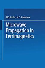 Microwave Propagation in Ferrimagnetics