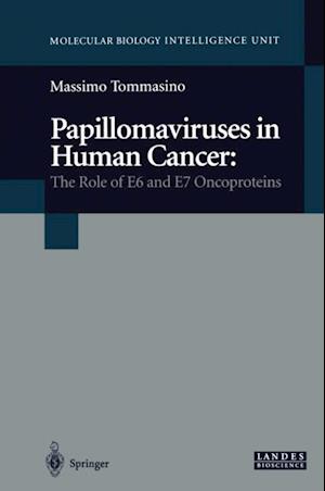 Papillomaviruses in Human Cancer