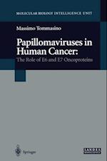 Papillomaviruses in Human Cancer