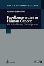 Papillomaviruses in Human Cancer