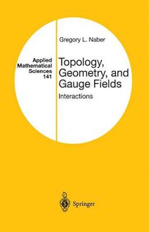 Topology, Geometry, and Gauge Fields : Interactions
