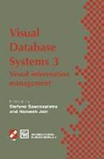 Visual Database Systems 3