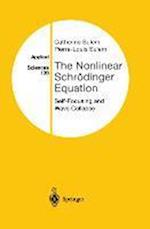 The Nonlinear Schroedinger Equation